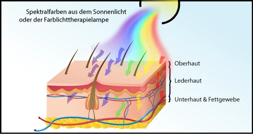 Schematische Darstellung von der Wirkung der Farbtherapie über die Haut