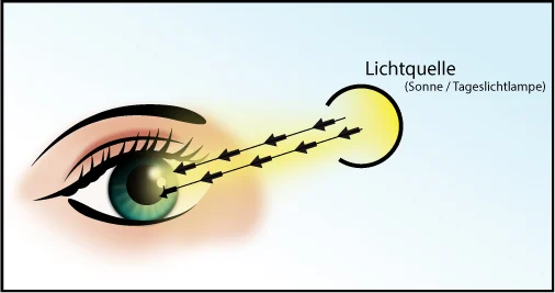 Schematische Darstellung von der Aufnahme von Licht über das Auge